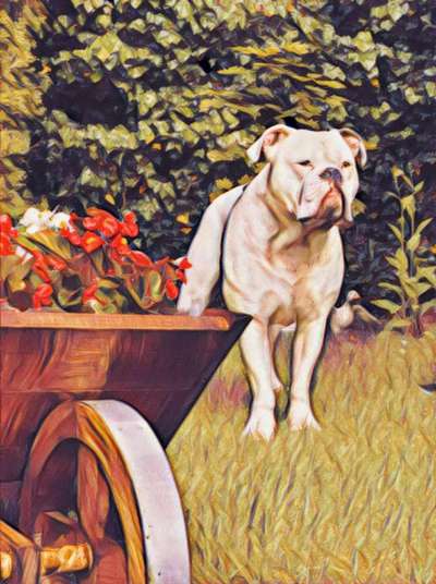 Photoshop und Co.-Beitrag-Bild