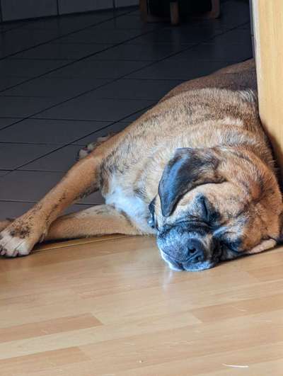 28. Handy-Fotochallenge - Damals und heute-Beitrag-Bild