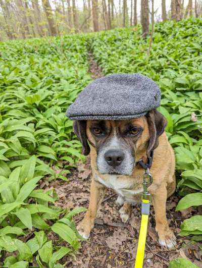 Freundschaftsanfragen-Beitrag-Bild