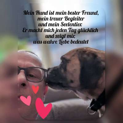 Fotowettbewerb "Liebeserklärung an deinen Hund!"-Beitrag-Bild