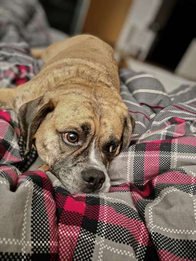 32. Farben Challenge  ** ( BUNTE ) STREIFEN **-Beitrag-Bild