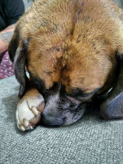 Foto Challenge Nr. 134-Beitrag-Bild