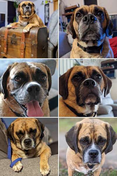 23. Collagen-Challenge: Portraits-Beitrag-Bild