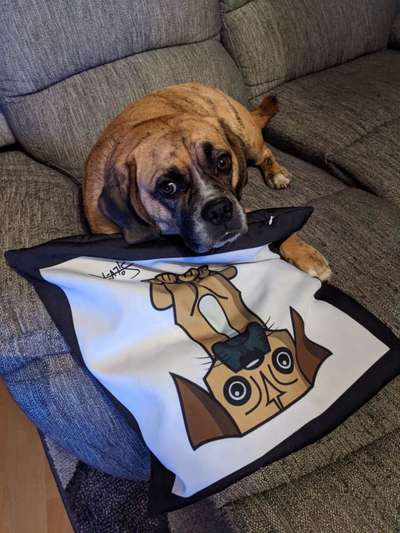 Fotochallenge 130-Beitrag-Bild