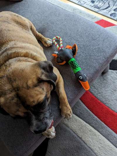 Freundschaftsanfragen-Beitrag-Bild