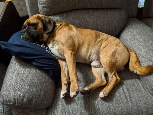 22. Collagen Challenge- Lebensfreude-Beitrag-Bild