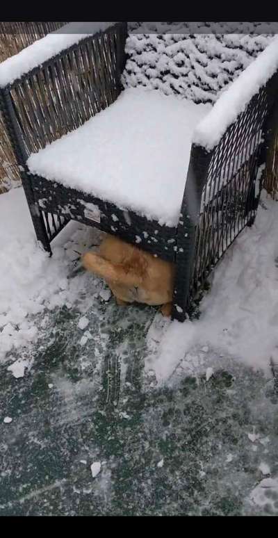 143. Fotochallenge: Ja, wo isser denn?-Beitrag-Bild