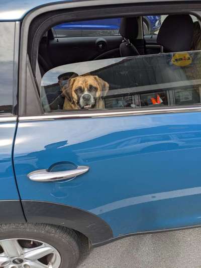 141. FOTO CHALLENGE 
Reisende soll man nicht aufhalten-Beitrag-Bild