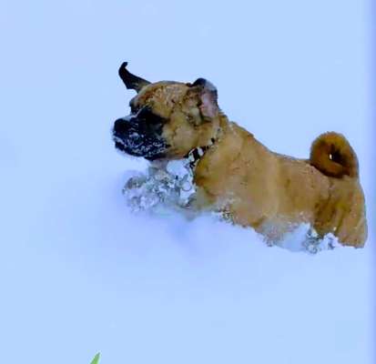 17. Farben Foto Challenge: Pastellfarben-Beitrag-Bild