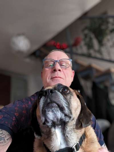 85. Foto Challenge : Schosshund-Beitrag-Bild