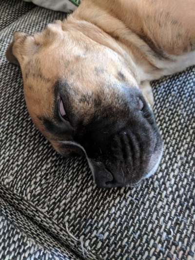 Lustige Grimassen & verrückte Posen-Beitrag-Bild