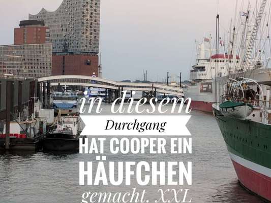 Freundschaftsanfragen-Beitrag-Bild