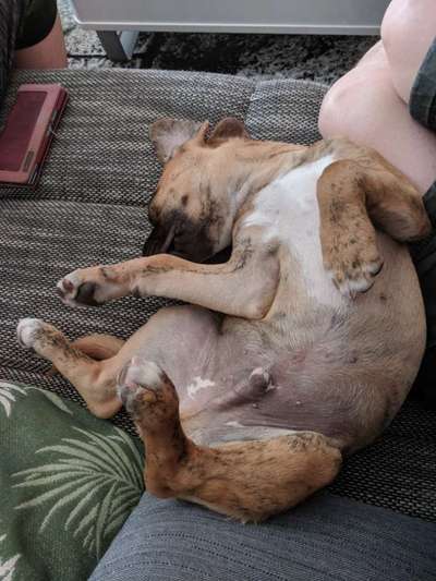 20. Collagen Challenge - "Lustige Schnappschüsse"-Beitrag-Bild