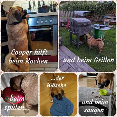 12. Kurzgeschichten-Challenge: Alltagshelfer-Beitrag-Bild