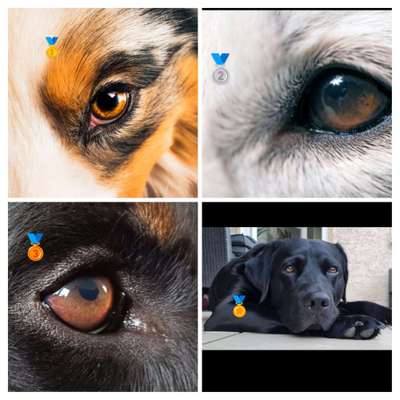 150. Foto Challaenge:  Die Augen, der Spiegel der Seele-Beitrag-Bild