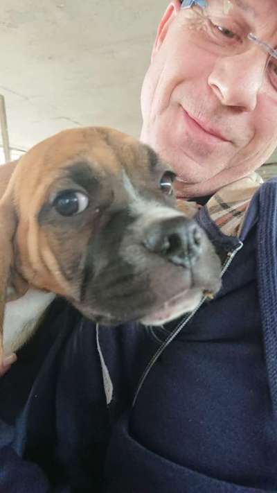 21. Collage Challenge 
Du und dein Hund-Beitrag-Bild