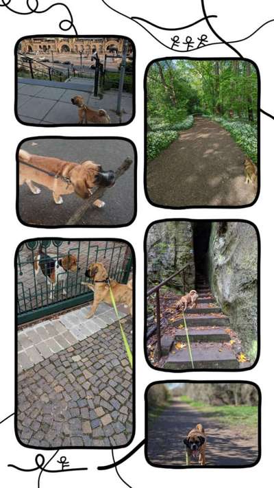 30. Collagen Challenge - Wege/Straßen-Beitrag-Bild