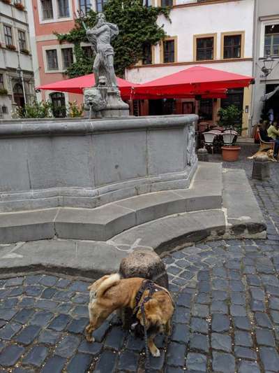 154. FotoChallenge * AUFS BILD GEMOGELT *-Beitrag-Bild