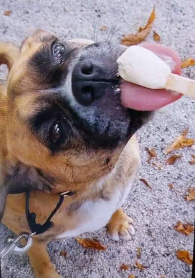 152. Foto Challenge: "Friss mir aus der Hand"-Beitrag-Bild