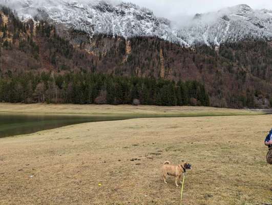 Freundschaftsanfragen-Beitrag-Bild