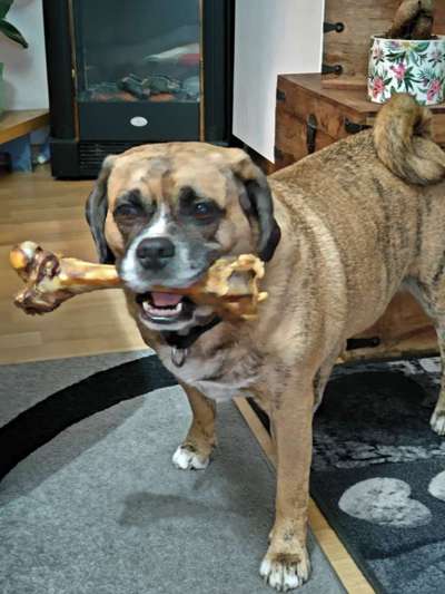 22. Collagen Challenge- Lebensfreude-Beitrag-Bild