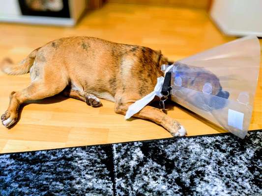 121. Fotochallenge-Beitrag-Bild