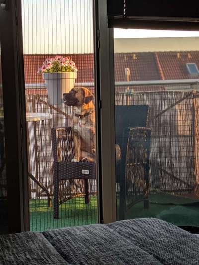 68. Handy Foto Challenge: "Ins Netz gegangen"-Beitrag-Bild