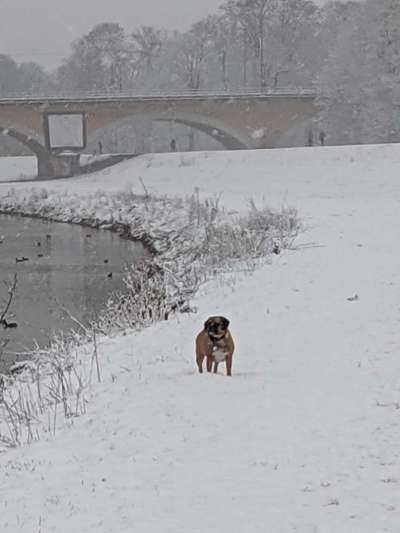 19. Collagen Challenge - Brücken-Beitrag-Bild
