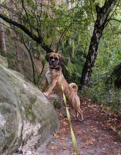 Dogorama Foto Challenge - Wanderziel-Beitrag-Bild