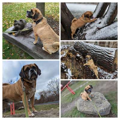 31. Collagen Challenge - Bänke/ Steine /Baumstümpfe-Beitrag-Bild