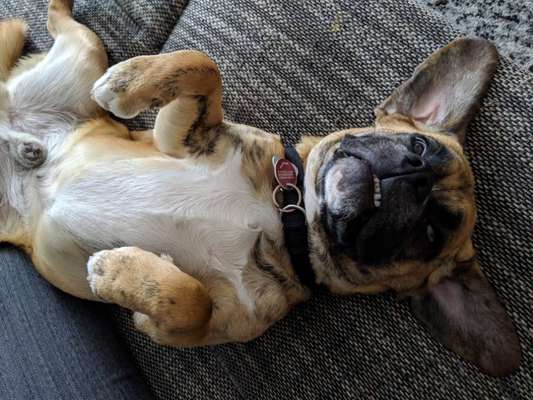 Lustige Grimassen & verrückte Posen-Beitrag-Bild