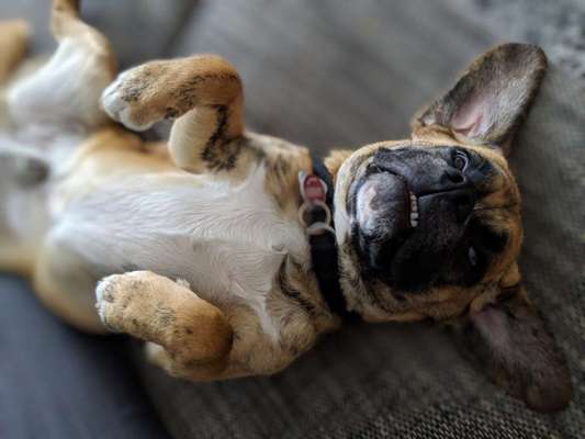 Fotochallenge Nr.122-Beitrag-Bild