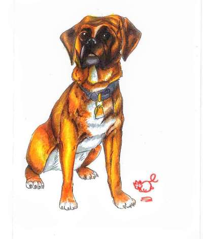 Fotochallenge 124 - Dein Comic-Hund-Beitrag-Bild