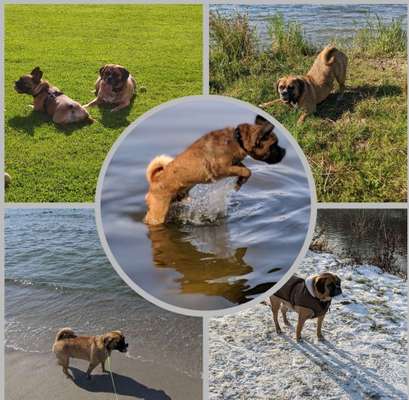 43. Collage Challenge - Schattenspiele-Beitrag-Bild