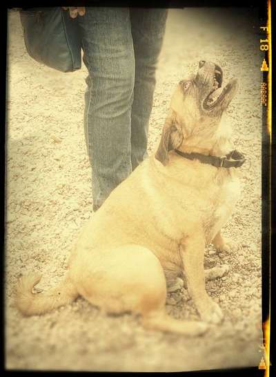 FarbenFoto - Challenge: Sepia-Beitrag-Bild