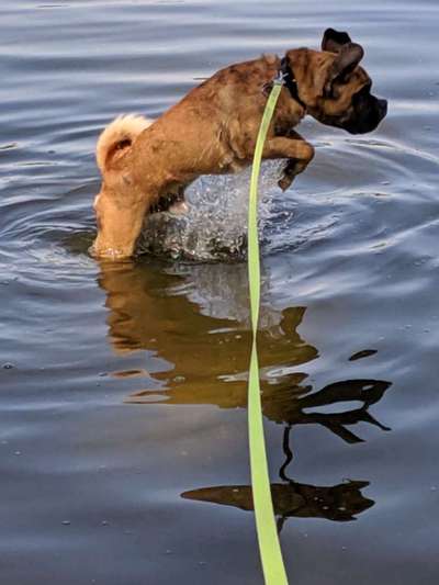 Foto Challenge Nr.133-Beitrag-Bild