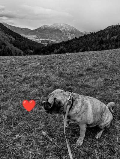 6. Farben Foto Challenge: "ColourKey Effekt"-Beitrag-Bild