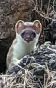 Freundschaftsanfragen-Beitrag-Bild