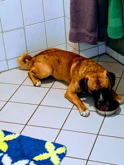 Fotochallenge 128-Beitrag-Bild