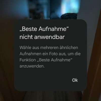 Impulskontrollübung 67: Laufbilder mit dem Hund 📸-Beitrag-Bild