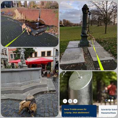 57. Foto Collage Challenge
Brunnen-Beitrag-Bild