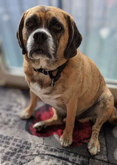 67. Handy Foto Challenge: Rotes Herz-Beitrag-Bild