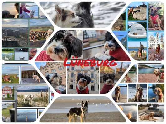 45. Collage Challenge - Lieblingsurlaubs/ Ausflugsziele-Beitrag-Bild