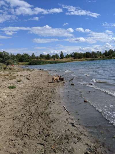 118. Fotochallange-Beitrag-Bild