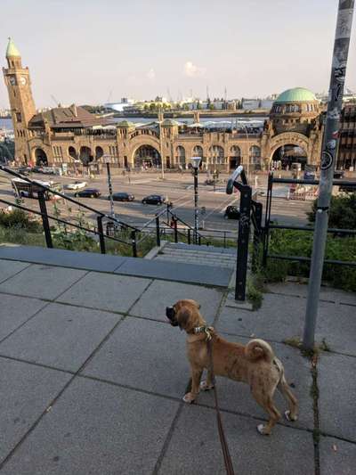 Freundschaftsanfragen-Beitrag-Bild