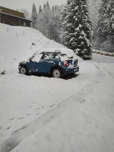 Freundschaftsanfragen-Beitrag-Bild