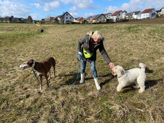 Was hat euch heute gefreut?-Beitrag-Bild