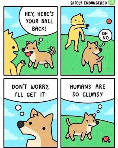 Hunde Memes-Beitrag-Bild