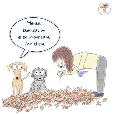 Hunde Memes-Beitrag-Bild