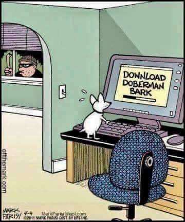 Hunde Memes-Beitrag-Bild